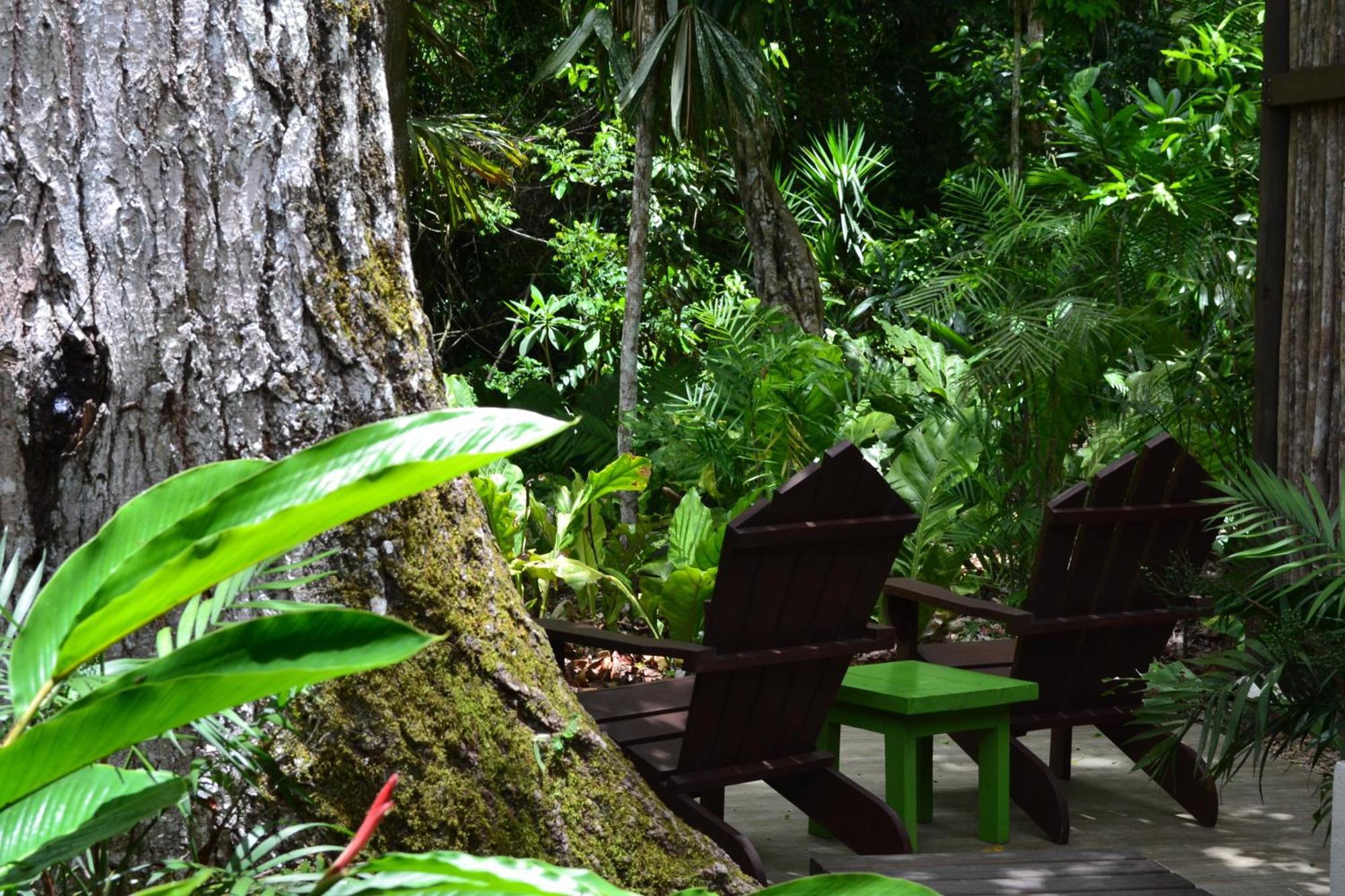 Hotel Jungle Lodge Tikal Szoba fotó