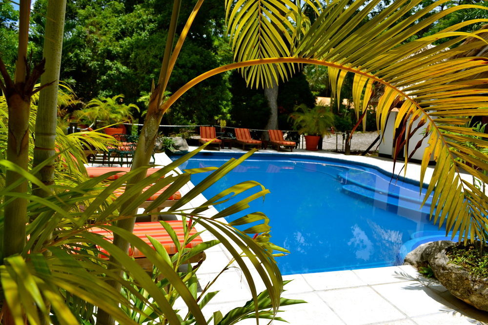 Hotel Jungle Lodge Tikal Kültér fotó