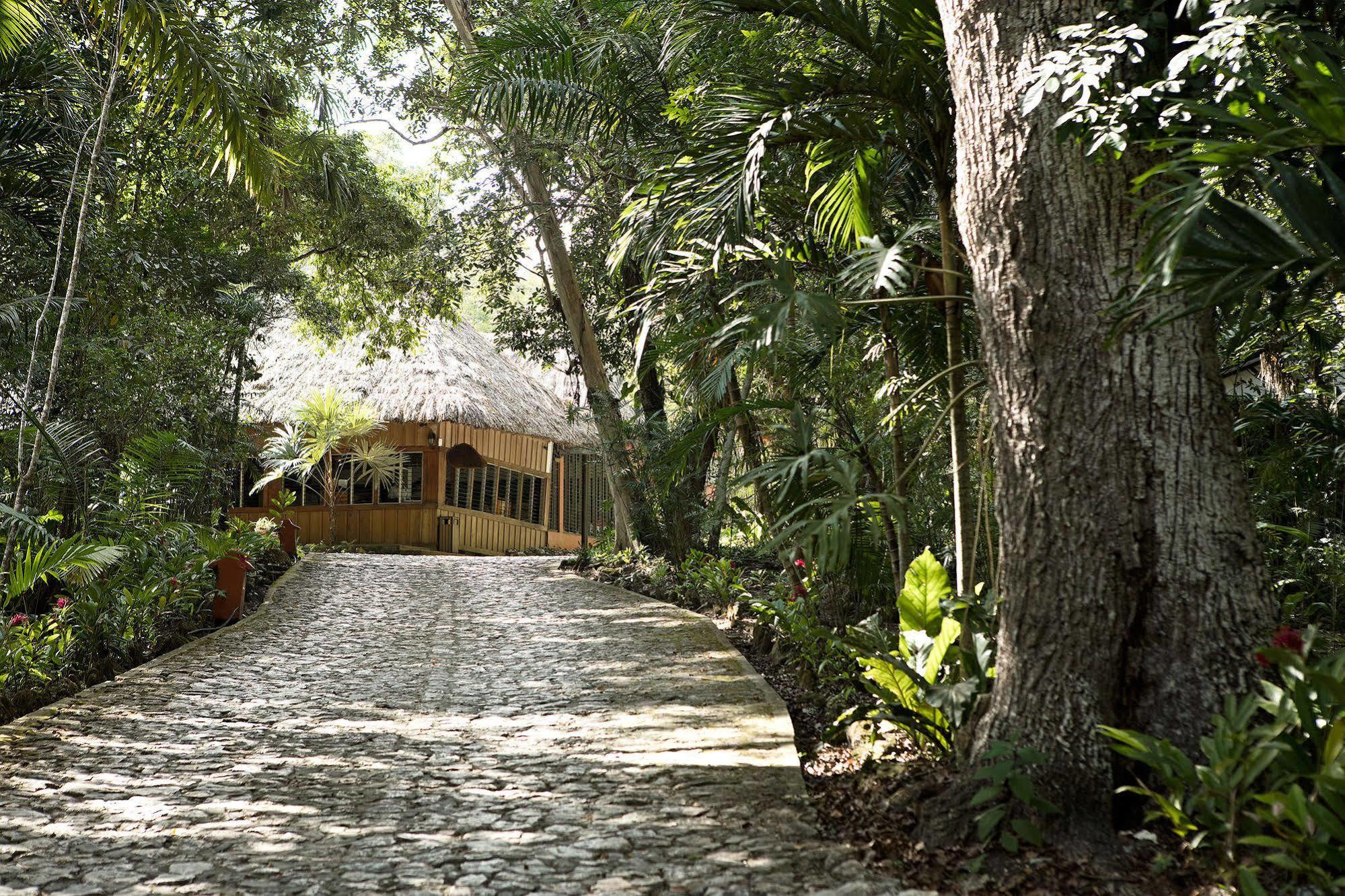 Hotel Jungle Lodge Tikal Kültér fotó